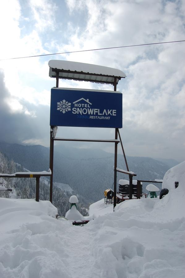 Hotel Snowflake Nārkanda Esterno foto